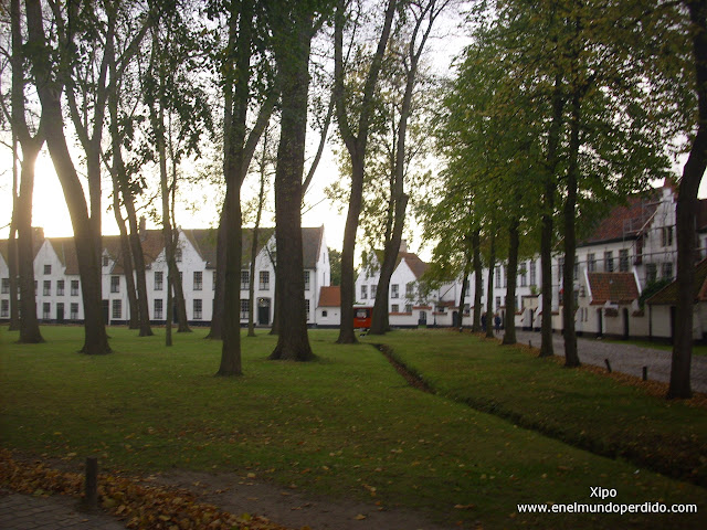 Beginjhoff-de-brujas.jpg