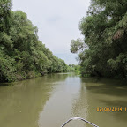 IMG_5204.JPG