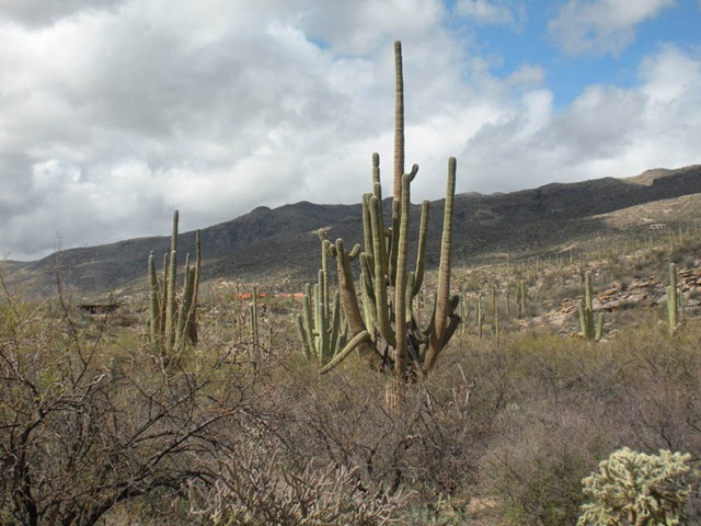 [DSCN1983%255B3%255D.jpg]