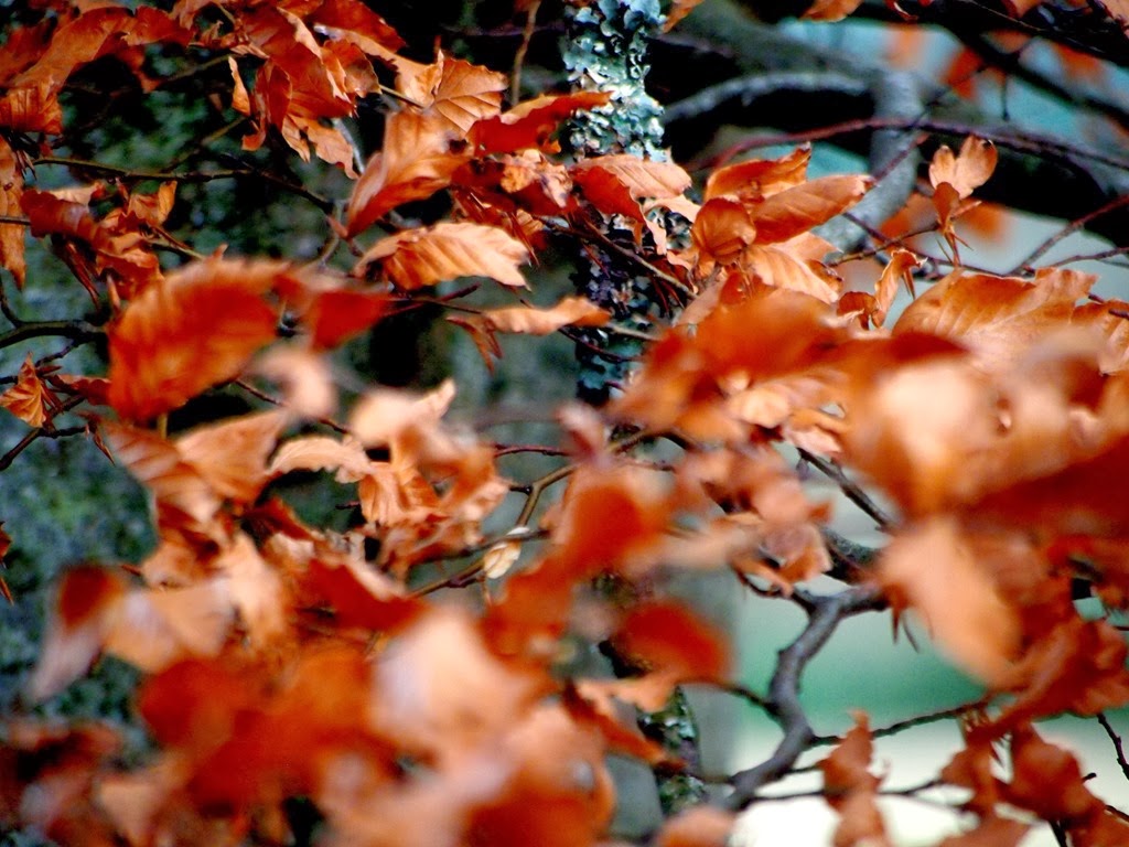 [2%2520Dec%25208%255B3%255D.jpg]