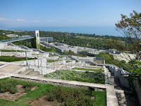 IMG_2595.JPG