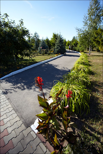 IMG_1763.jpg