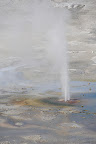 DSC_2227.jpg