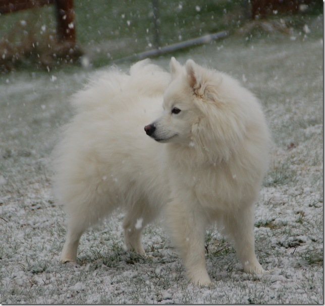 DSC_5497 DSC_5497