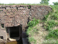 dsc06885.jpg