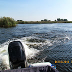 IMG_7997.JPG