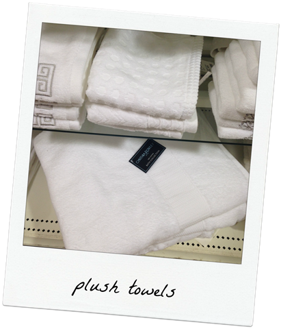 [towels2.png]