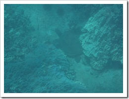 IMG_3527