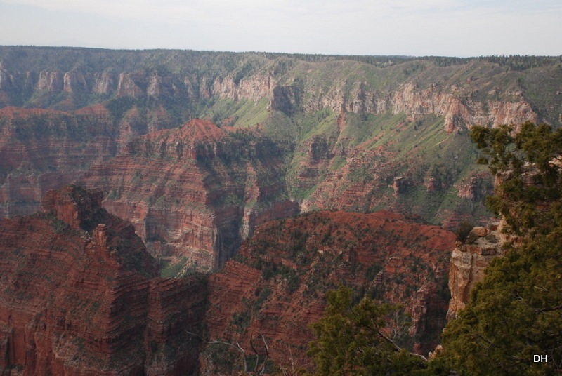 [05-17-13-B-Grand-Canyon-North-Rim-Dr%255B32%255D.jpg]