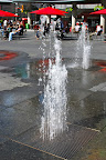 DSC_0403.jpg