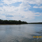 IMG_5550.JPG