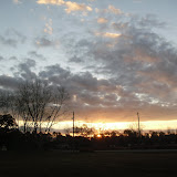 CIMG8806.JPG