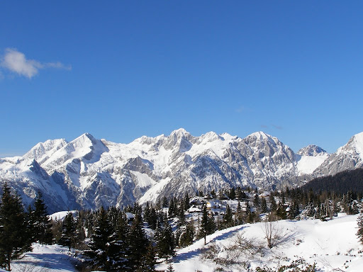 SloveniaTripToVelikaPlanina.jpg