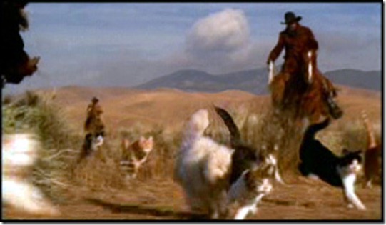 Herding-Cats