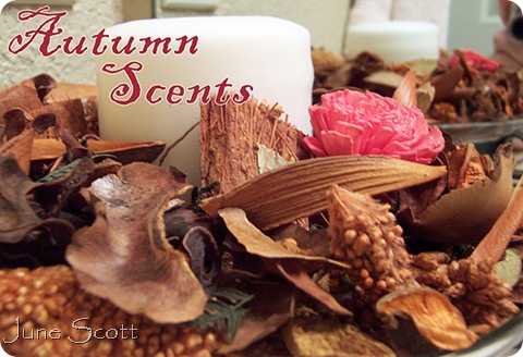Autumn_Scents