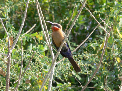 P1080806