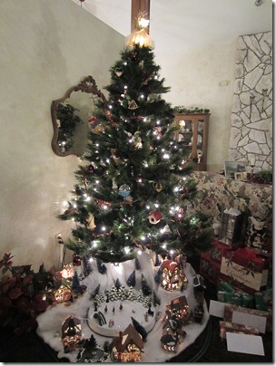 IMG_0063 IMG_0063
