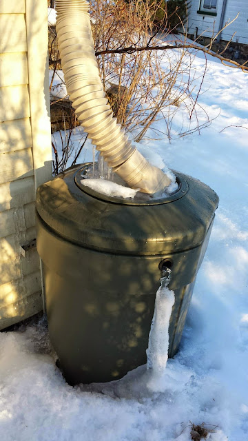 frozen rain barrel