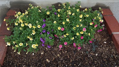 2014-08-01 08.58.17.jpg