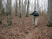 IMG_0706.JPG Photo
