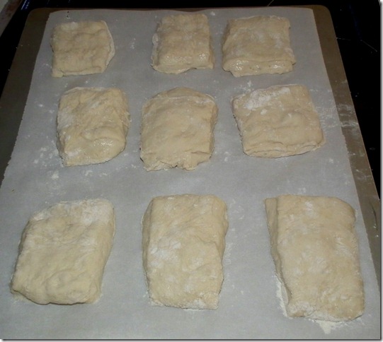 Ciabatta dough rolls ready to bake