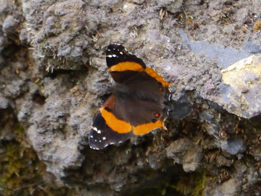 P1030946
