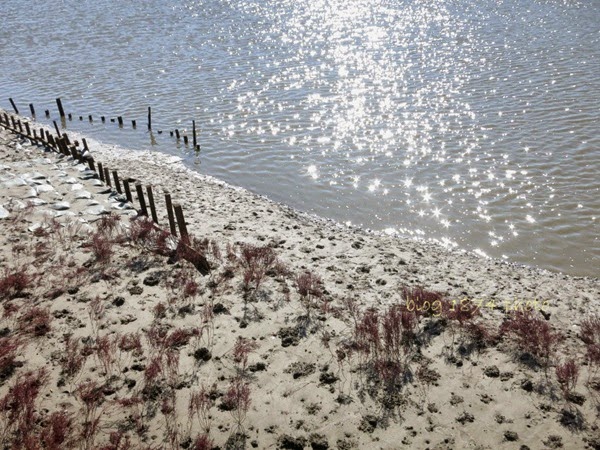 [SYs_217%255B2%255D.jpg]