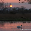 Eamon Brennan - Sunset On Cabragh Wetlands.jpg