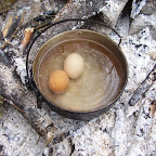 Sibai-2010-29.jpg