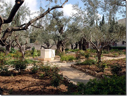 Gethsemane Gethsemane