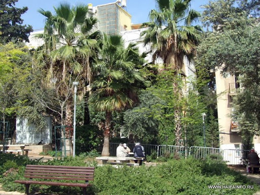ADSCF3838 Haifa Hadar Benjamin garden.jpg