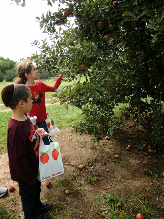 [DSCN0302%255B3%255D.jpg]