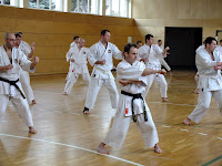 copyright by Ralph Görlach (Bushido Lubwart Bad Liebenwerda e.V.)