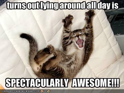 [funny-pictures-your-cat-likes-laying-around-all-day%255B4%255D.jpg]