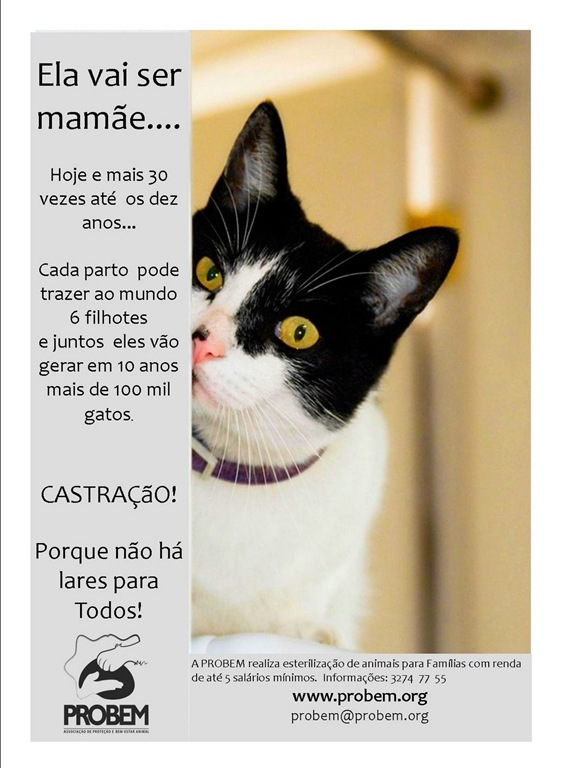 [castre%255B8%255D.jpg]
