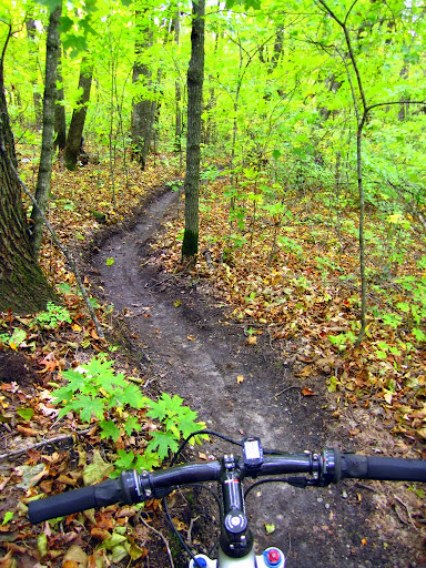 First section of trail buffed out nicely after blowing off leaves earlier in the day. Leaves are coming down fast and filling in track. After a few weeks we will blow out the track again.