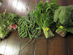 All kinds of leafy greens, including lettuce, spinach, arugula, and totsoi. Also radishes, peas and garlic scapes.