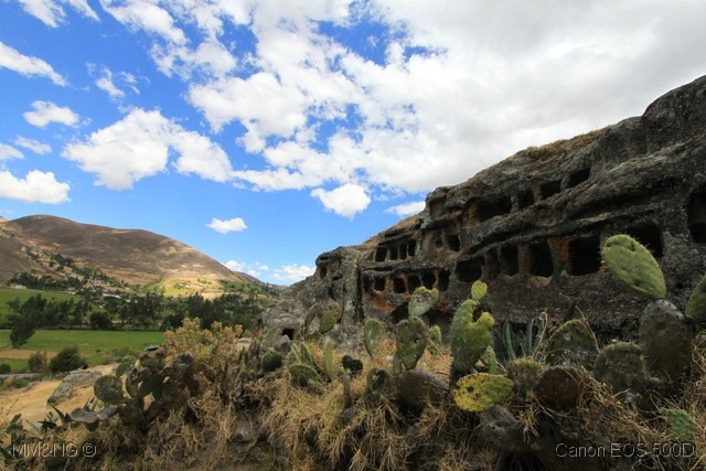 [IMG_4066%255B2%255D.jpg]