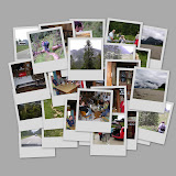 BLG_11-08-2007