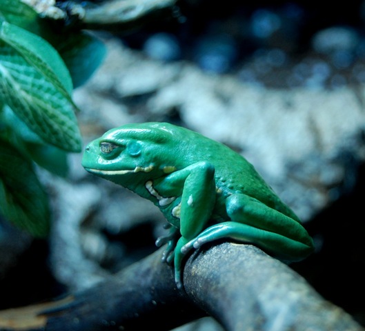[aquarium24%255B2%255D.jpg]