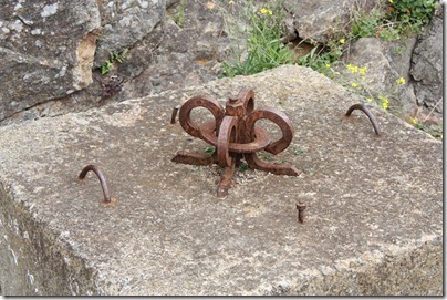 stoer gekruld