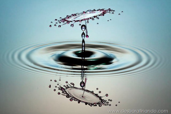 liquid-drop-art-gotas-caindo-foto-velocidade-hora-certa-desbaratinando (42) liquid-drop-art-gotas-caindo-foto-velocidade-hora-certa-desbaratinando (42)