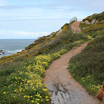 IMG_9700.JPG