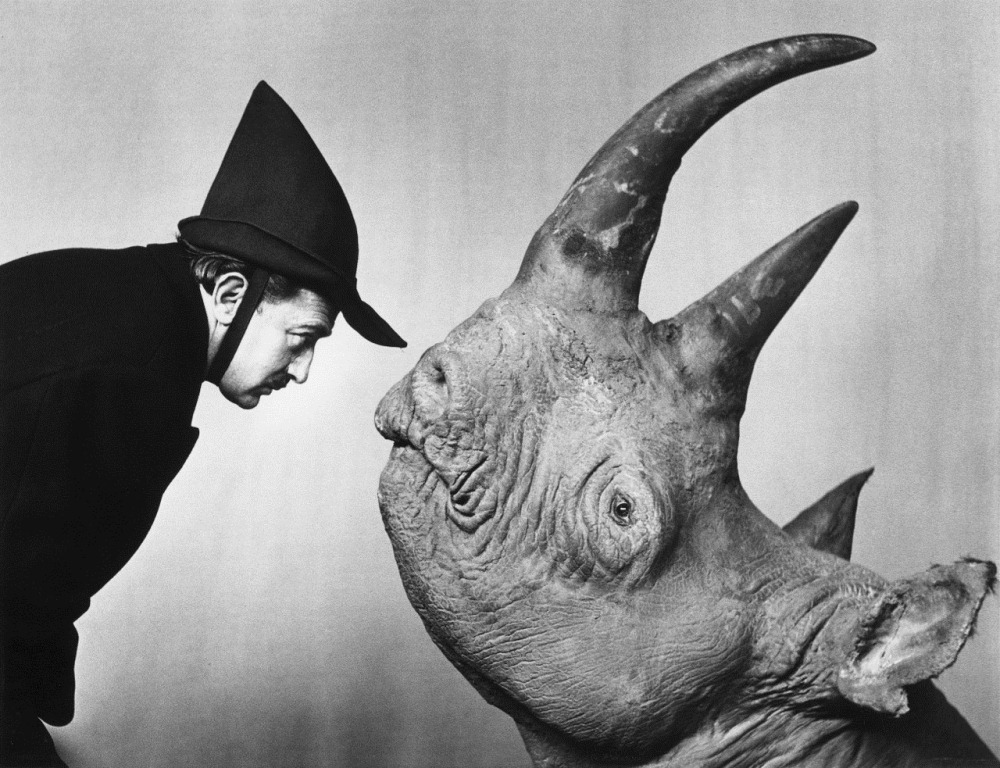 [dali-and-rhinoceros%255B6%255D.jpg]