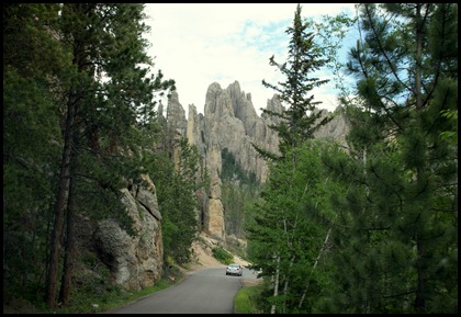 IMG_8819 IMG_8819