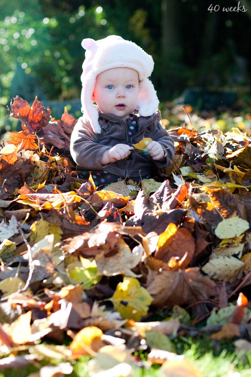 [20111029-IMG_8117-2%255B9%255D.jpg]