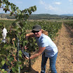 Excursión a conocer el vino del Somontano... 
