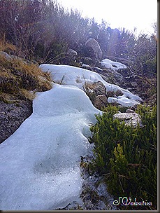P1140439 P1140439