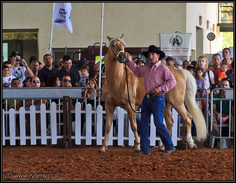 il/Фото: Stallion Show 2011 (20110416 stllion show 073 2289)