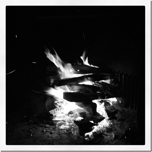 photo 3 (3)